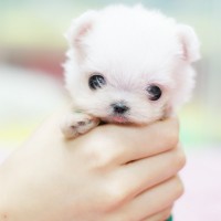 ltsunny