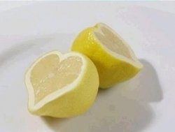 Angel_lemon
