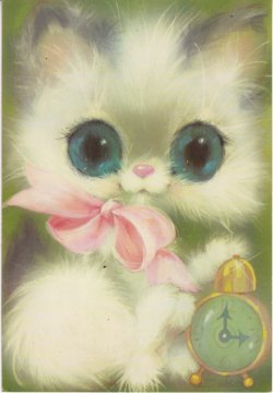 猫猫小公主
