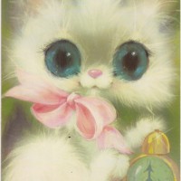 猫猫小公主