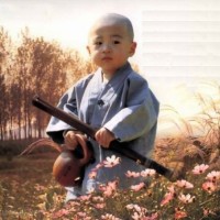 不在留恋