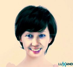 黄蓝