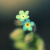 Tricia_菲