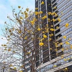 啊小小