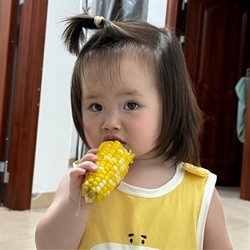 yuyu8535