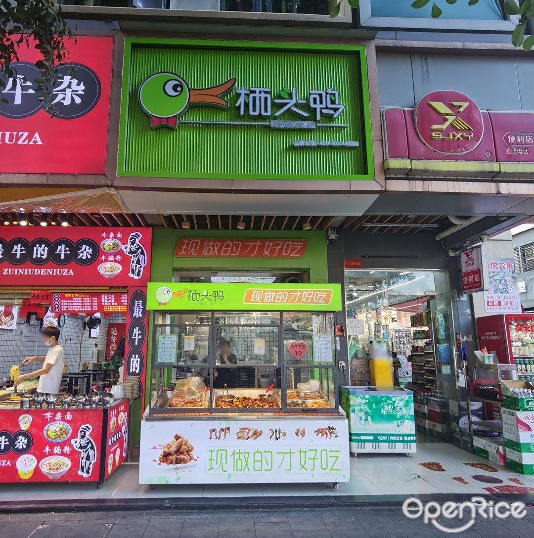 棲頭鴨 (森悅廣場)