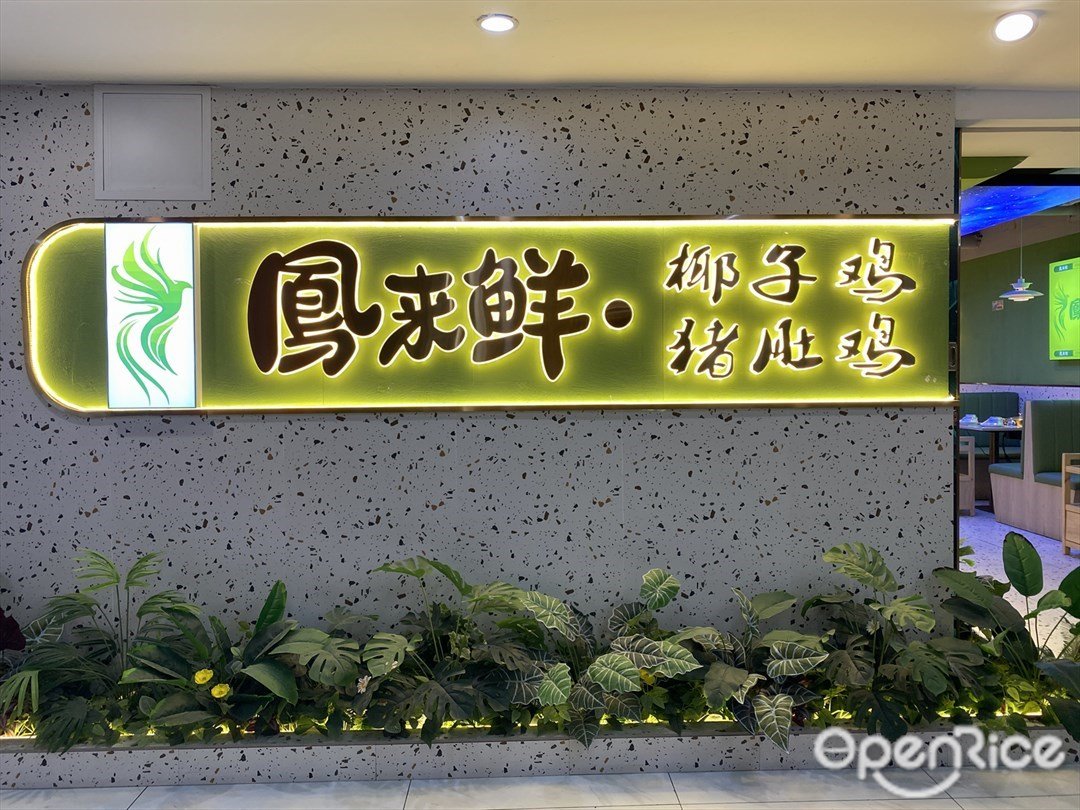 鳳來鮮·椰子雞豬肚雞 (高攜美食廣場)