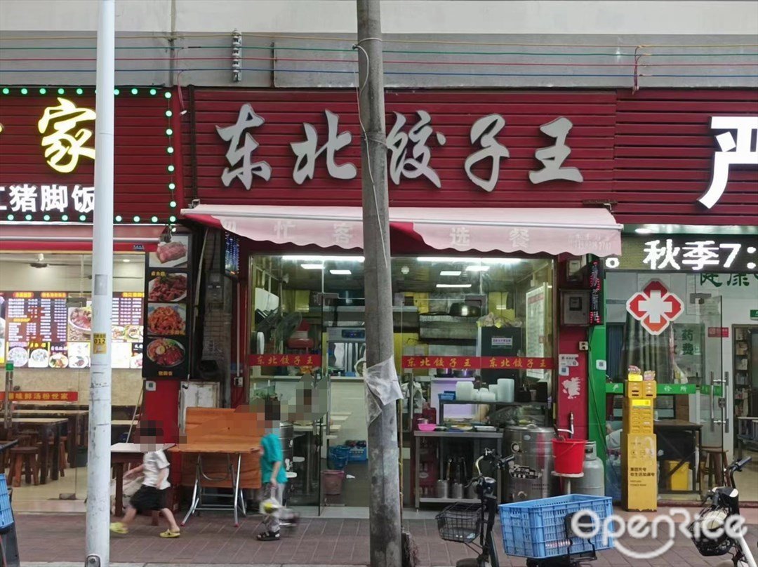 东北饺子王 (大岭北街)