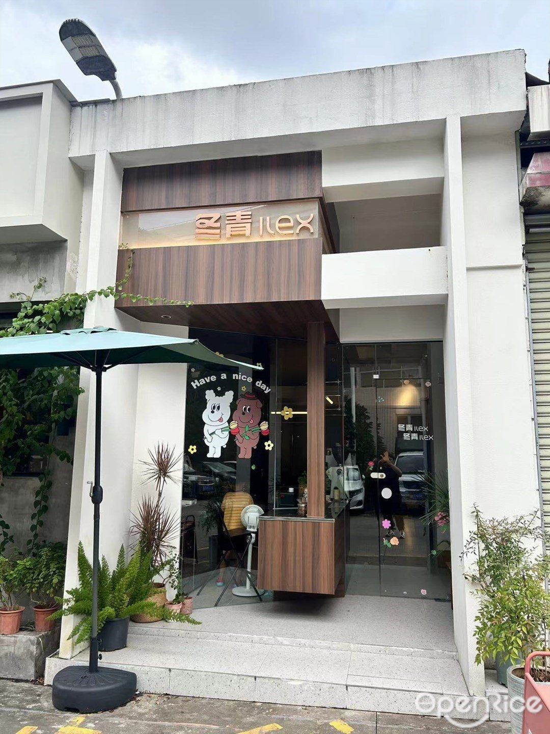 冬青ilex (库维街)