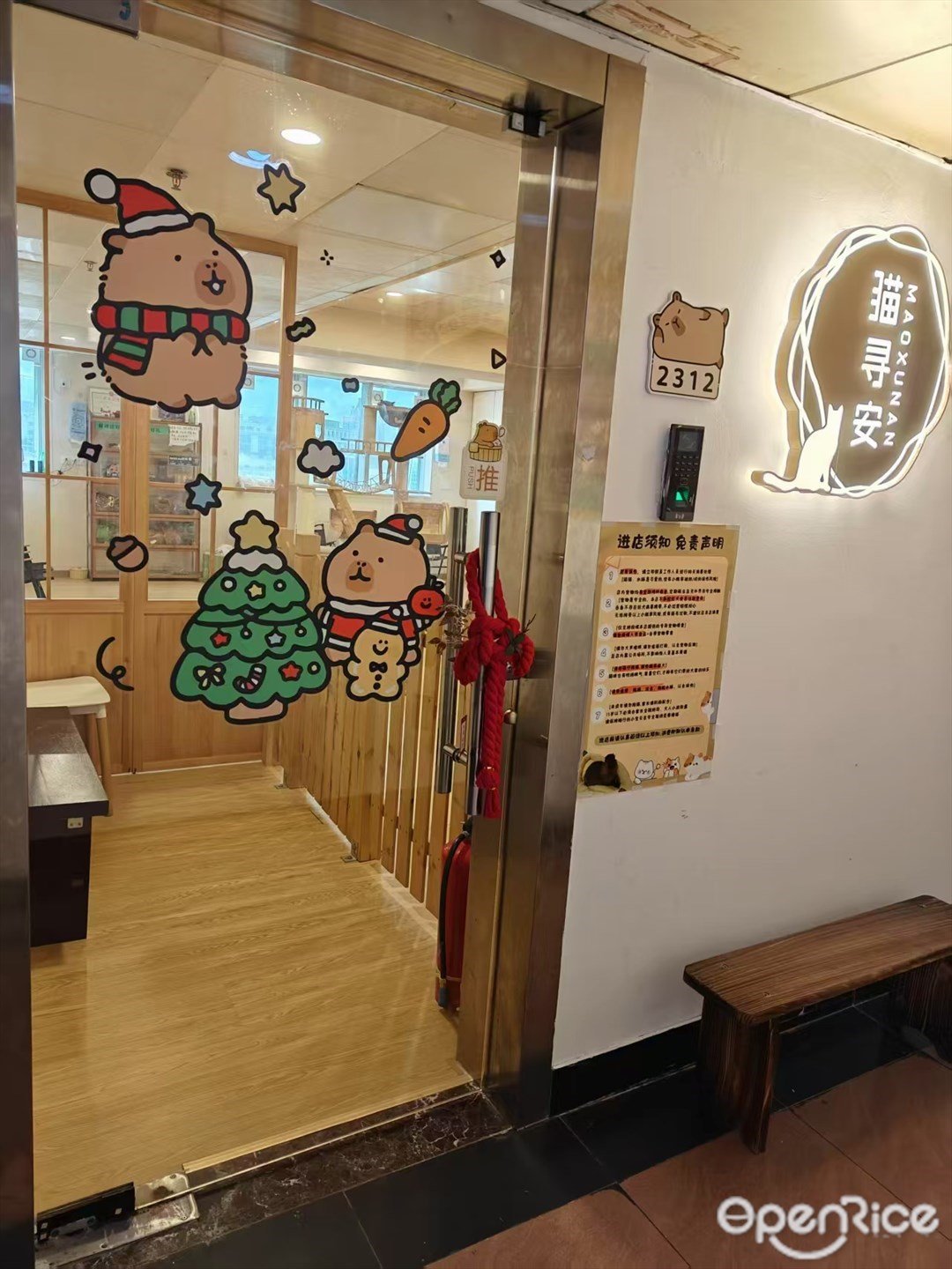 猫寻安 (百货广场大厦)【水豚】