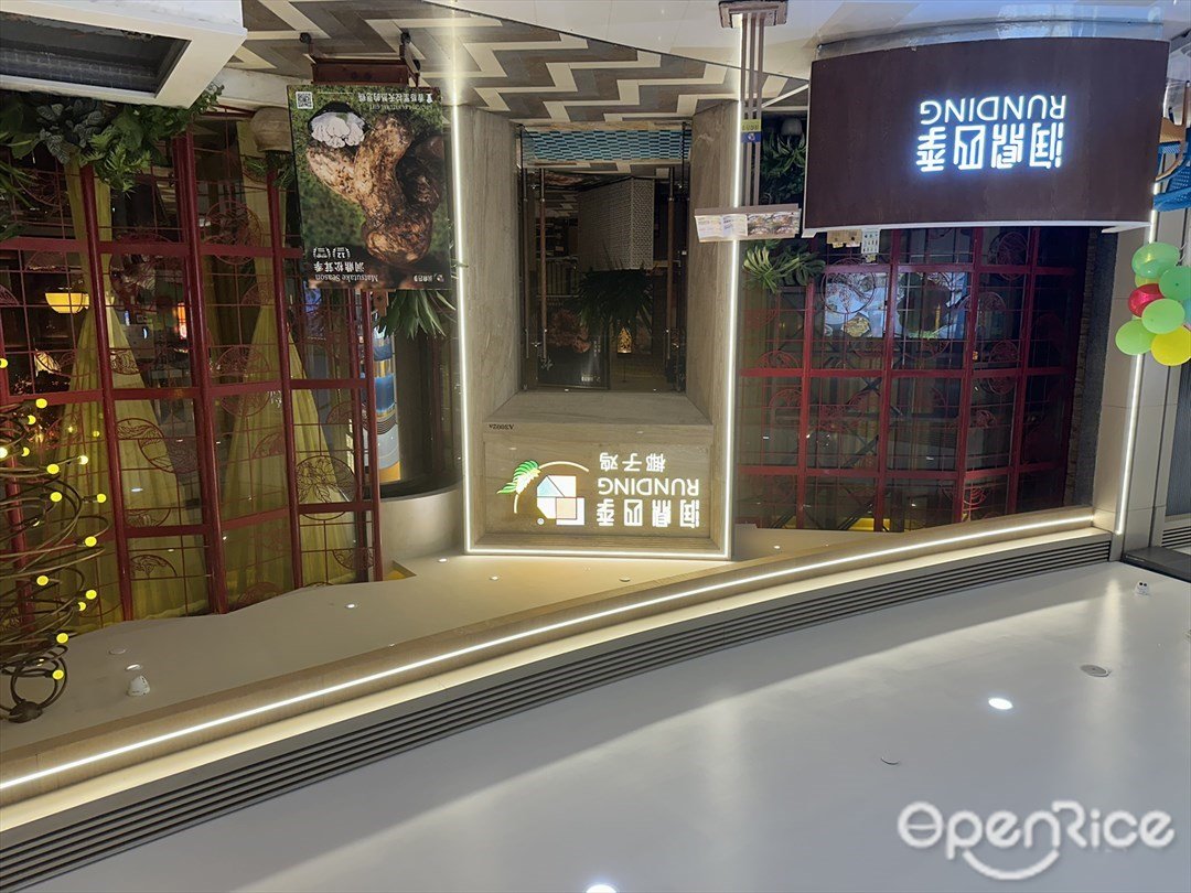 潤鼎四季椰子雞 (華發商都)