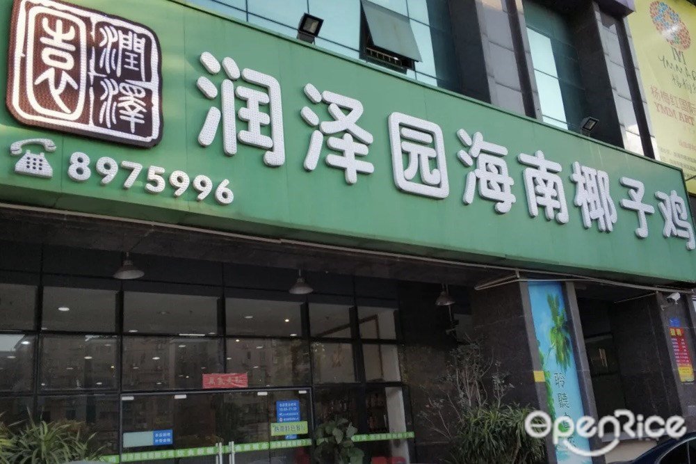 润泽园海南椰子鸡 (新香洲)